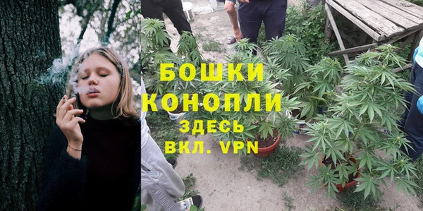шишки Алексин