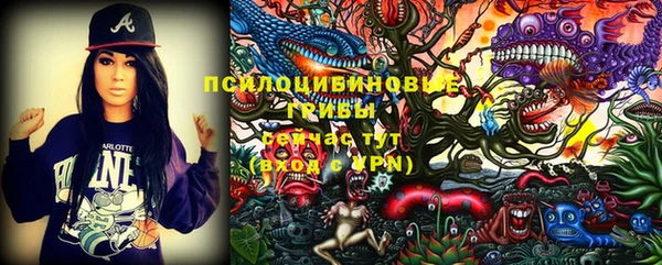 шишки Алексин